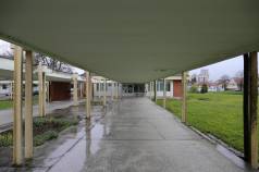 Mini IMG 8936